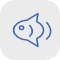 Fishing Supplies & Bait
